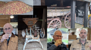 cider farm visit